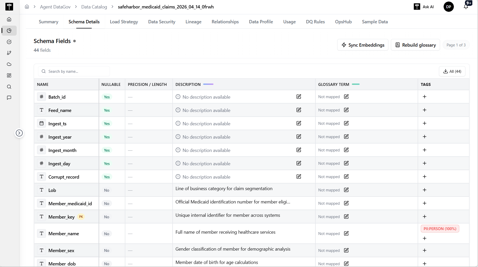 Data Catalog Schema Details